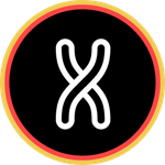 X Browser – En hurtig og fleksibel browser til Windows